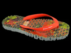 MERINGA MAN FLOWER REDGREY-Gelattto Discount